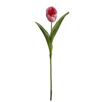 Tulipan, lyserød 52cm